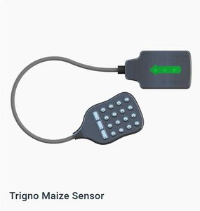 jpg.jpg